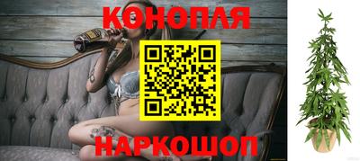 СК Донской