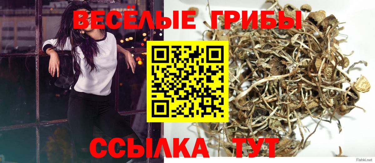 Псилоцибиновые грибы GOLDEN TEACHER Лесосибирск