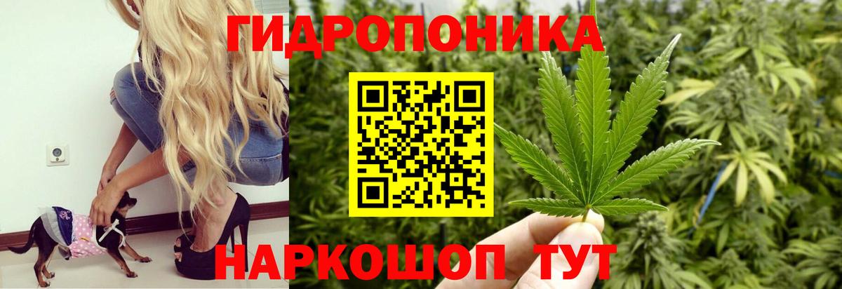 Бошки Шишки план  Конопля Ganja  Бошки Шишки White Widow  Вход с VPN  Лесосибирск 